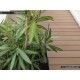 Bois Composite Timbertech Twinfinish - La Terrasse Nouvelle